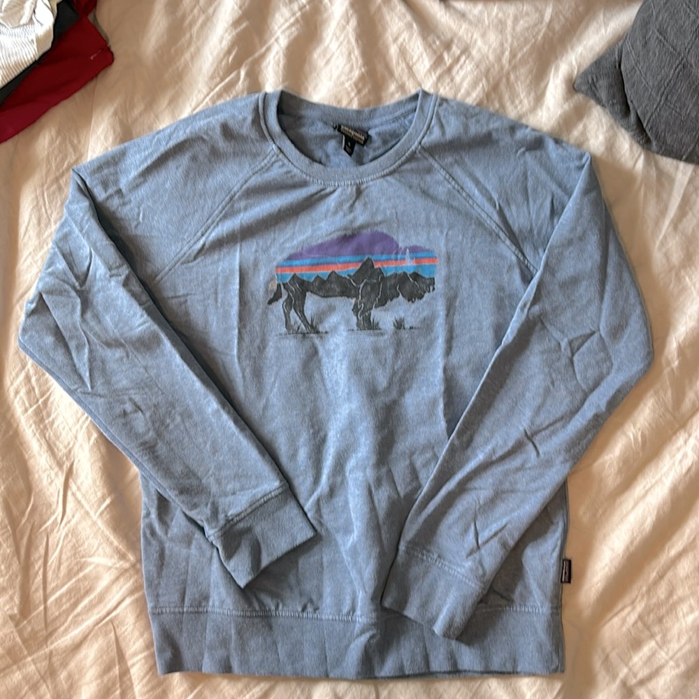 Patagonia light pullover sweatshirt, with buffalo